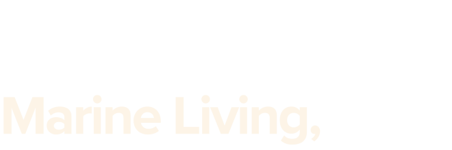 Marine living 3
